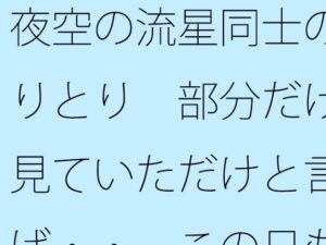 夜空の流星同士のやりとり  部分だけを見ていただけと言えば・・  この日もポケットに携えて アイキャッチ画像 【無料R18同人よむろー】